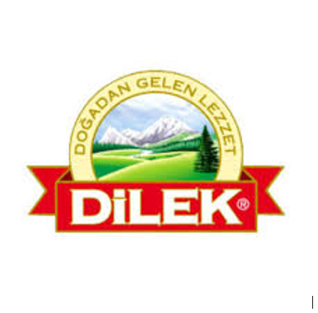 Dilek Logo