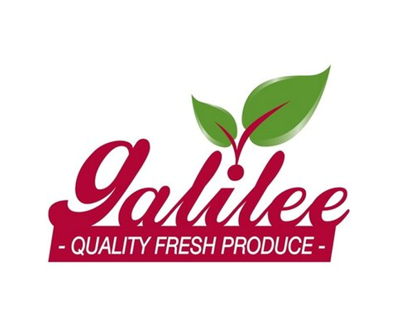 Galilee Logo